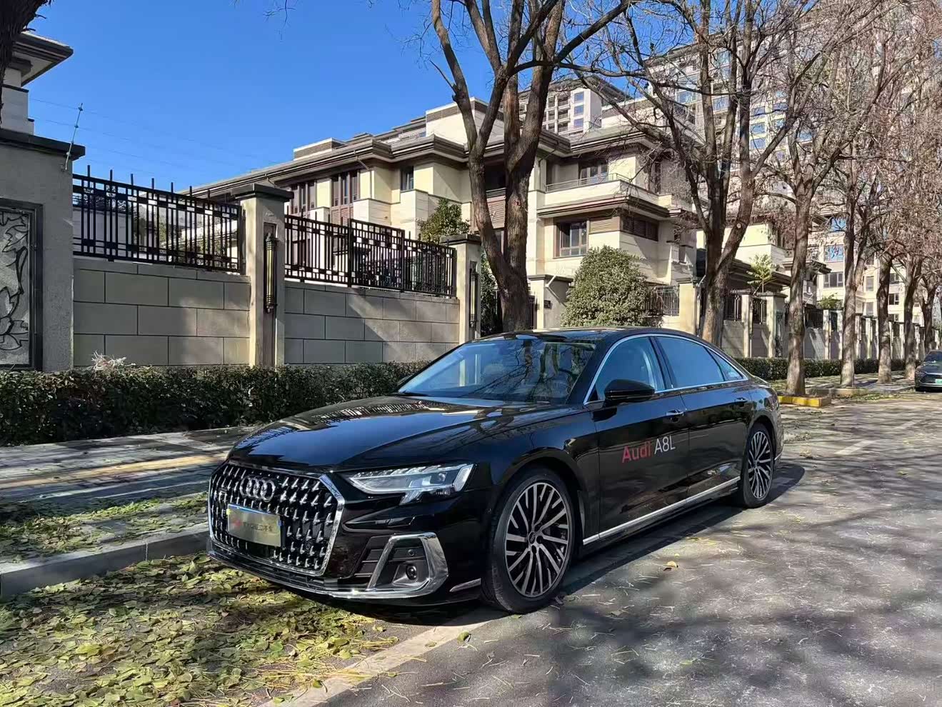 Audi A8 2024 汽车图片 