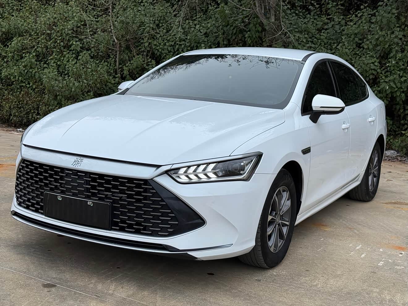 BYD Qin Plus 2024 car image 