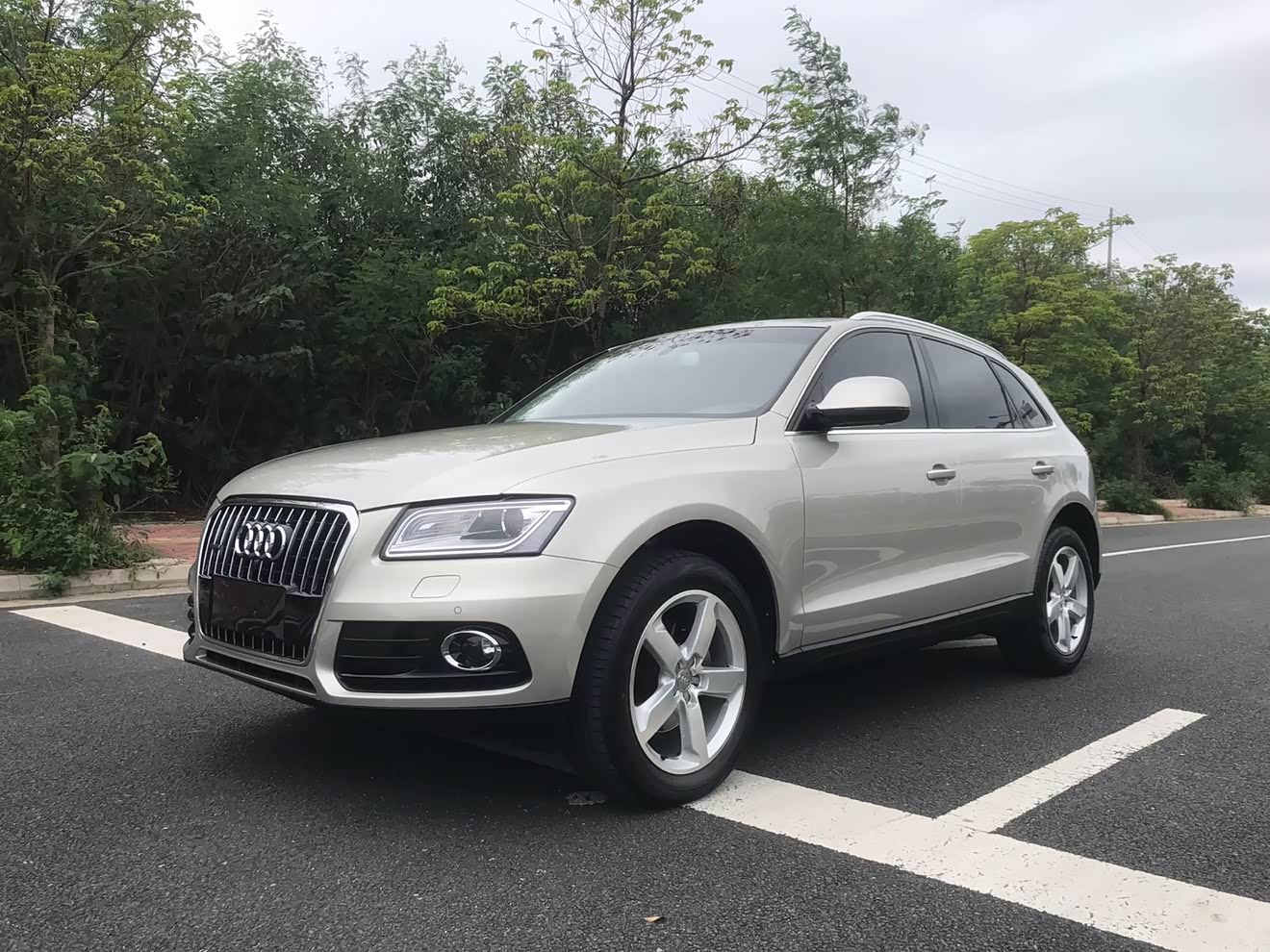 Audi Q5 2016 car image 