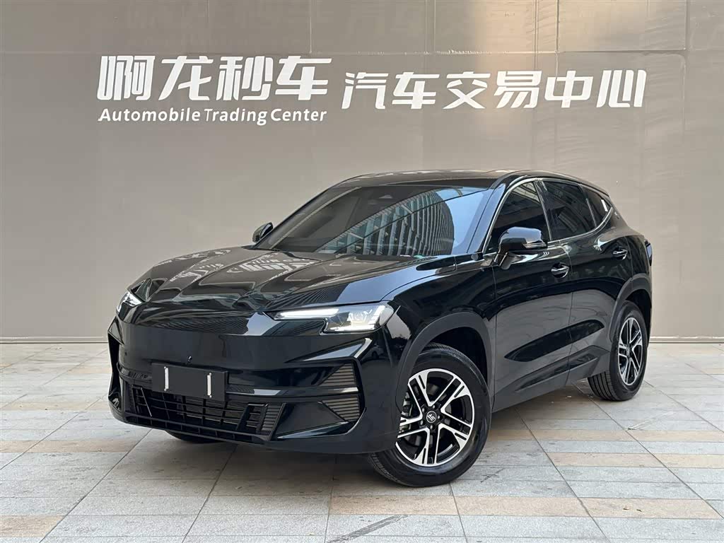 Jetour Shanhai L6 2024 汽车图片 