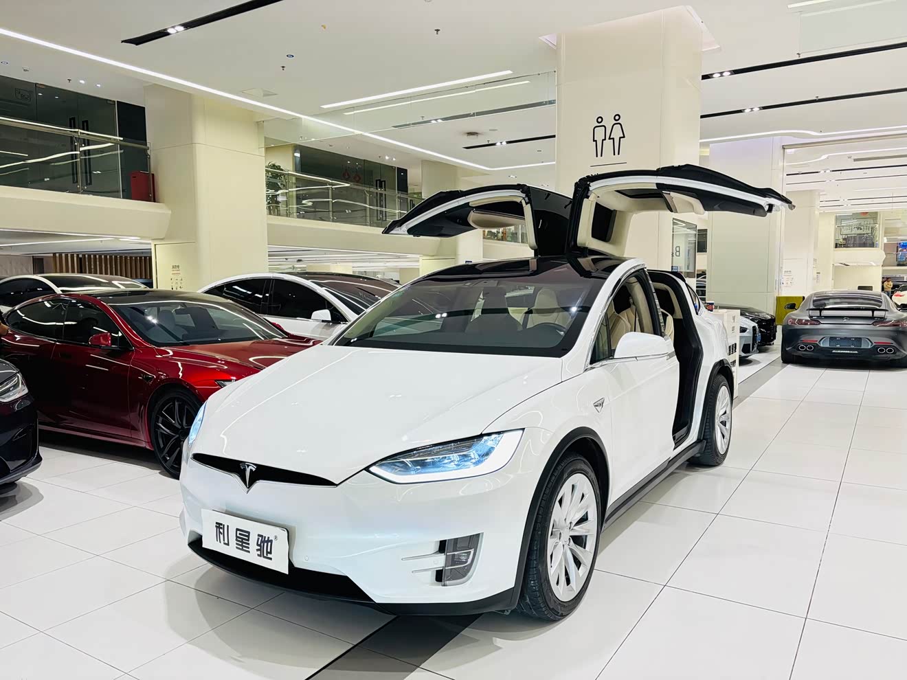Tesla Model X 2018 car image 
