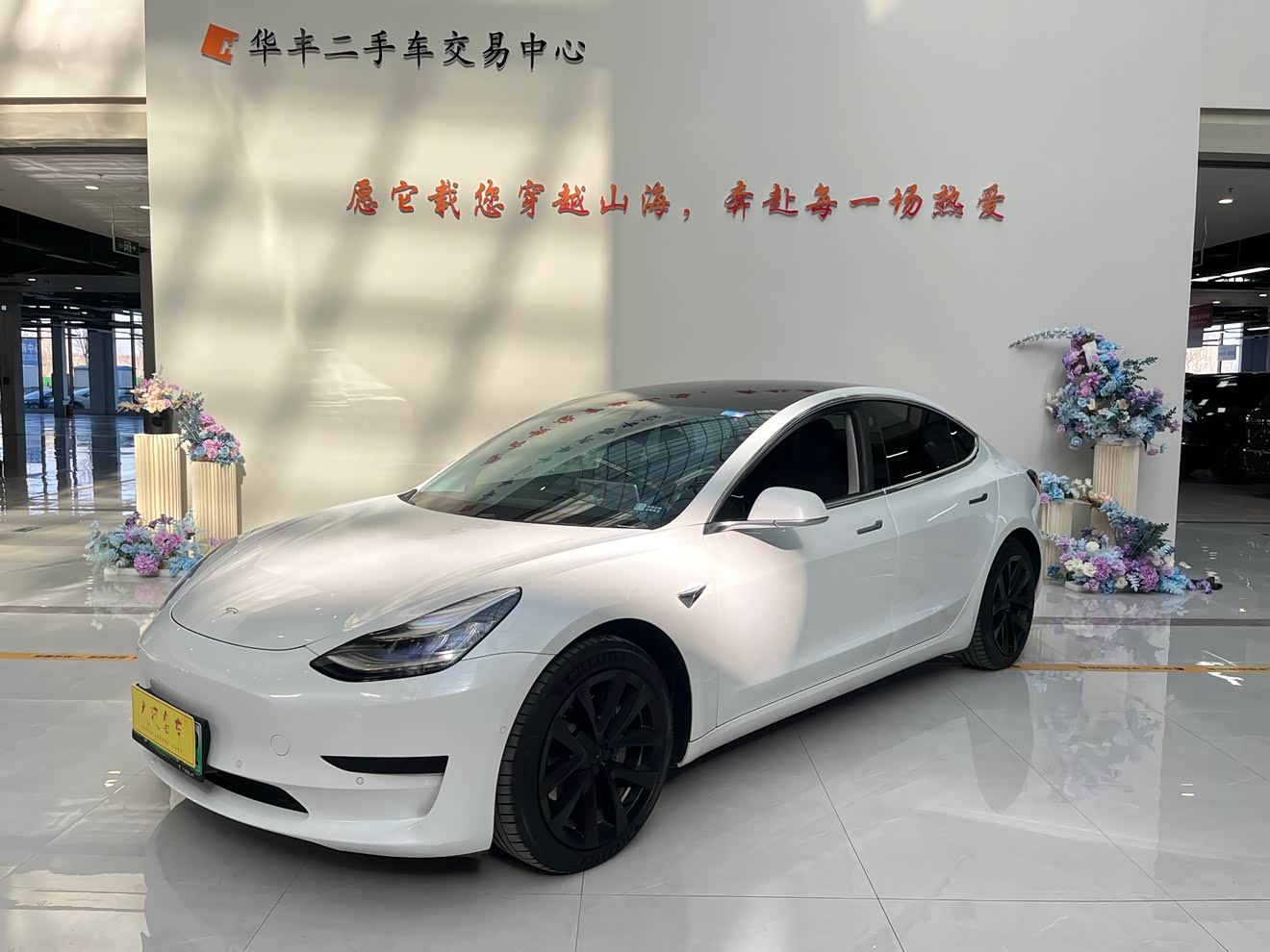 Tesla Model 3 2020 Tesla Model 3 2020 car image