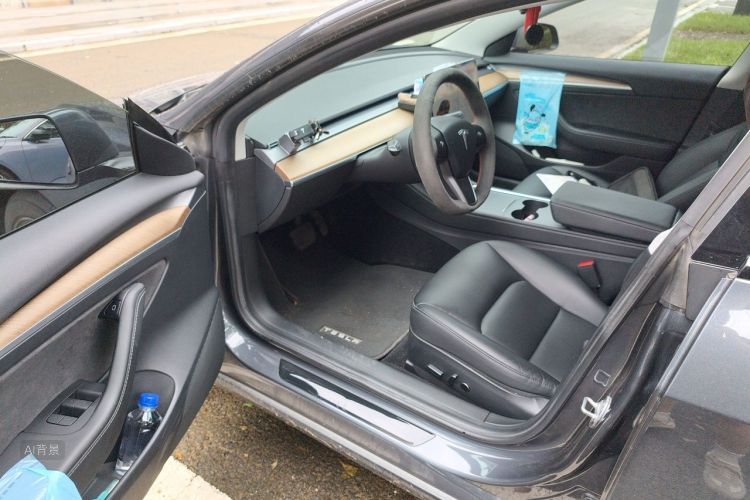 Tesla Model 3 2021 car image #18