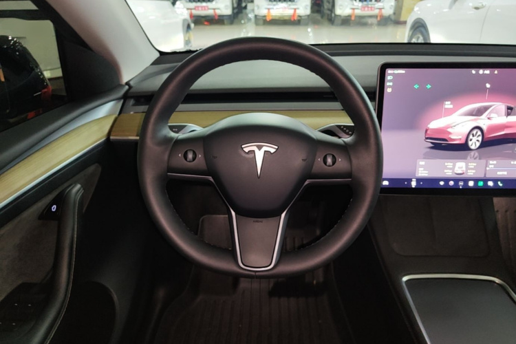 Tesla Model Y 2023 #15 Tesla Model Y 2023 car image #15