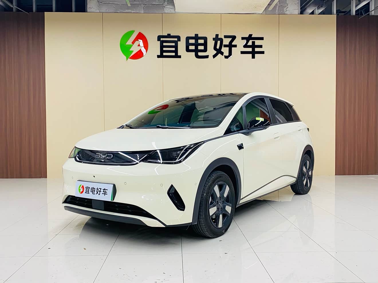 BYD Dolphin 2025 car image 