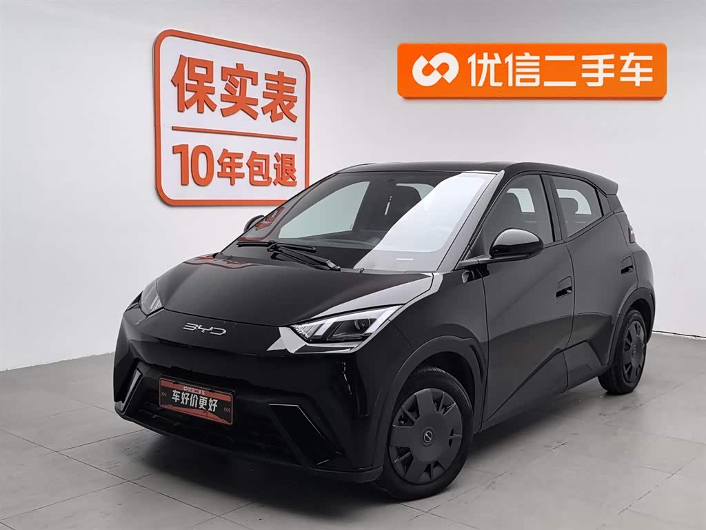 BYD Seagull 2024 immagine di auto 