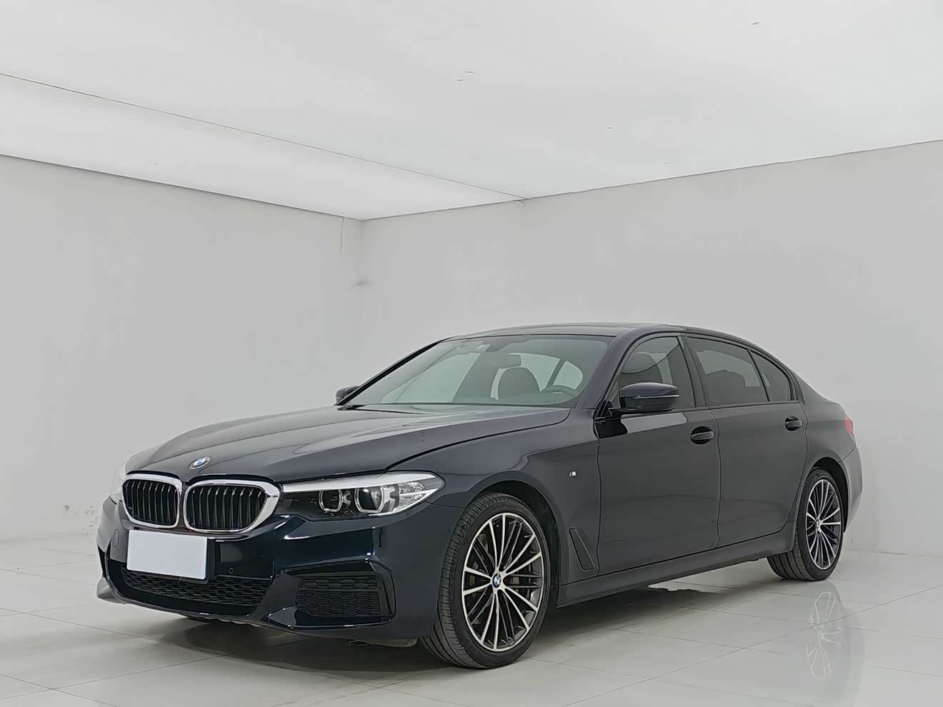 BMW 5 Series 2019 BMW 5 Series 2019 car image