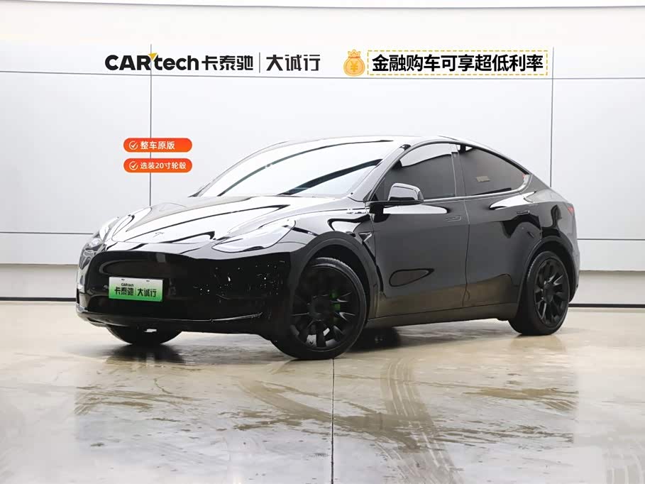 Tesla Model Y 2021 car image 