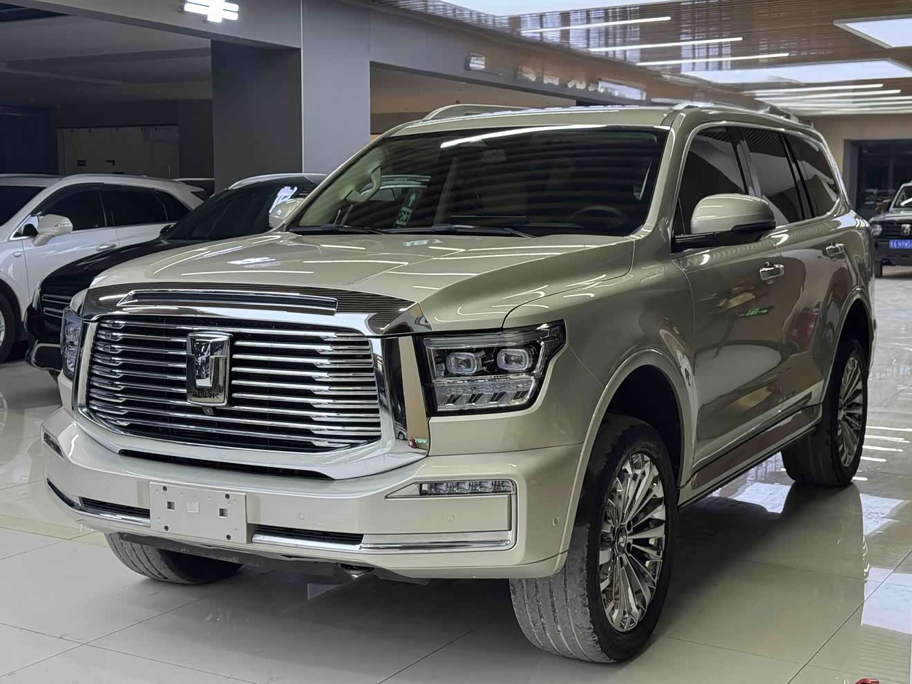 Tank 500 2022 汽车图片 