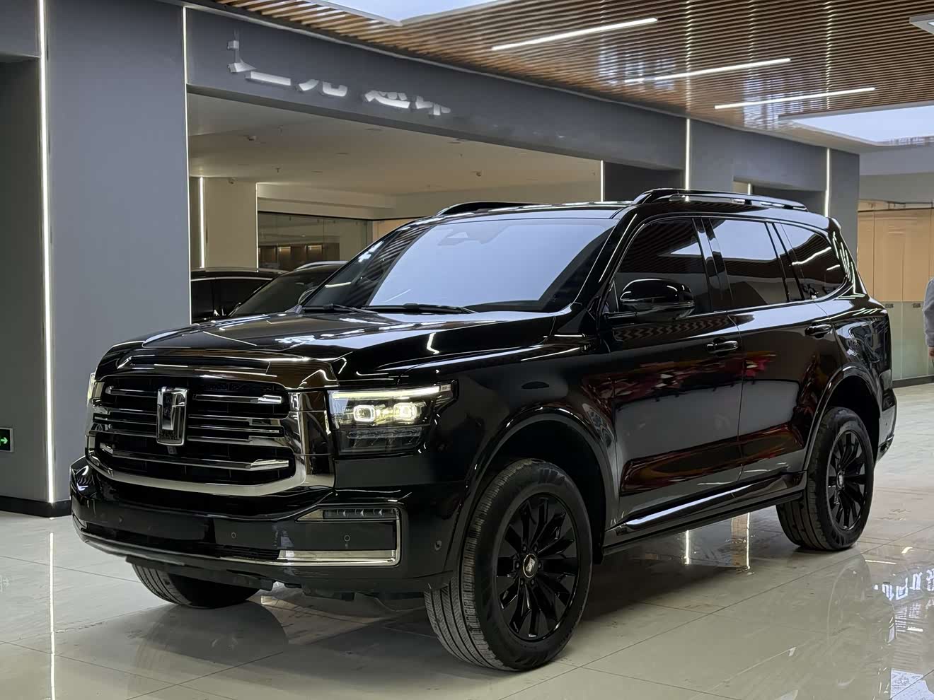 Tank 500 2022 汽车图片 