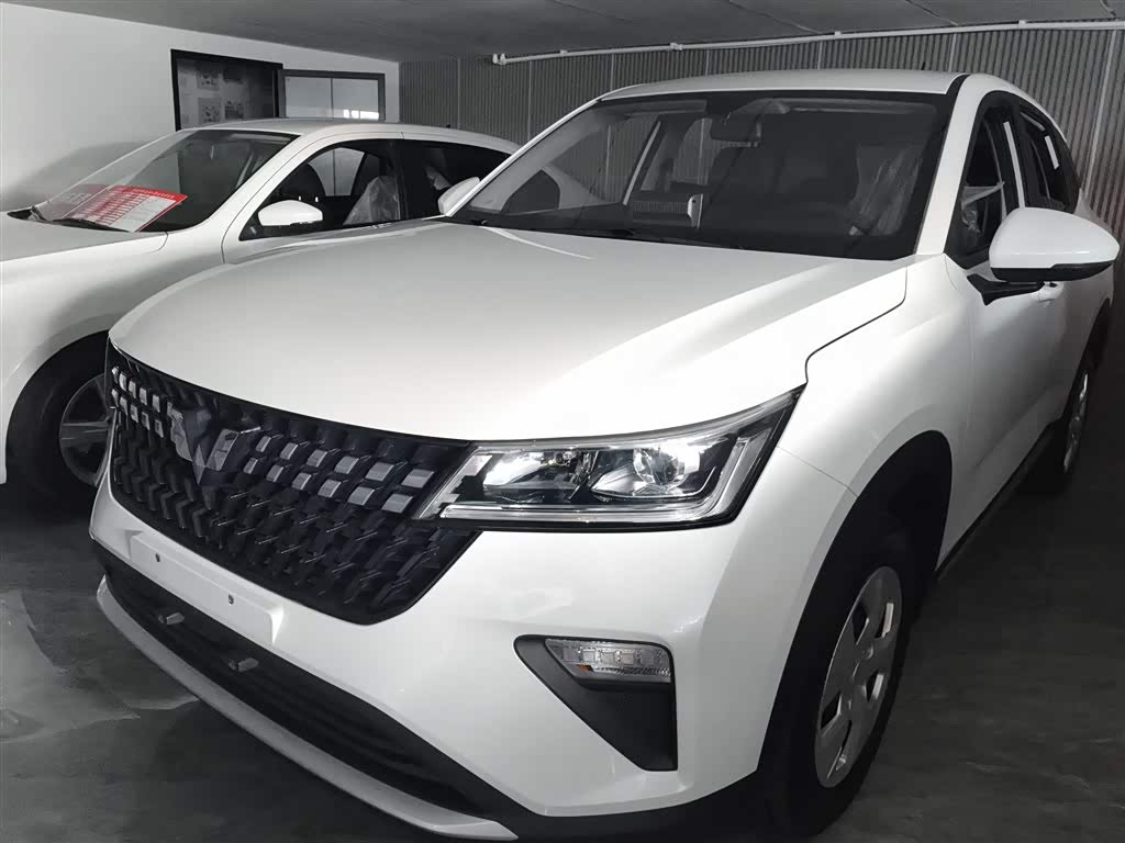 Wuling Xingchi 2022 Wuling Xingchi 2022 汽车图片