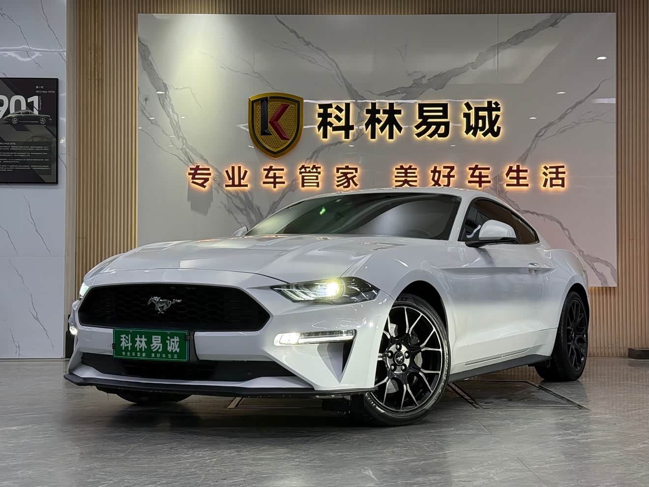 Ford Mustang 2019 car image 
