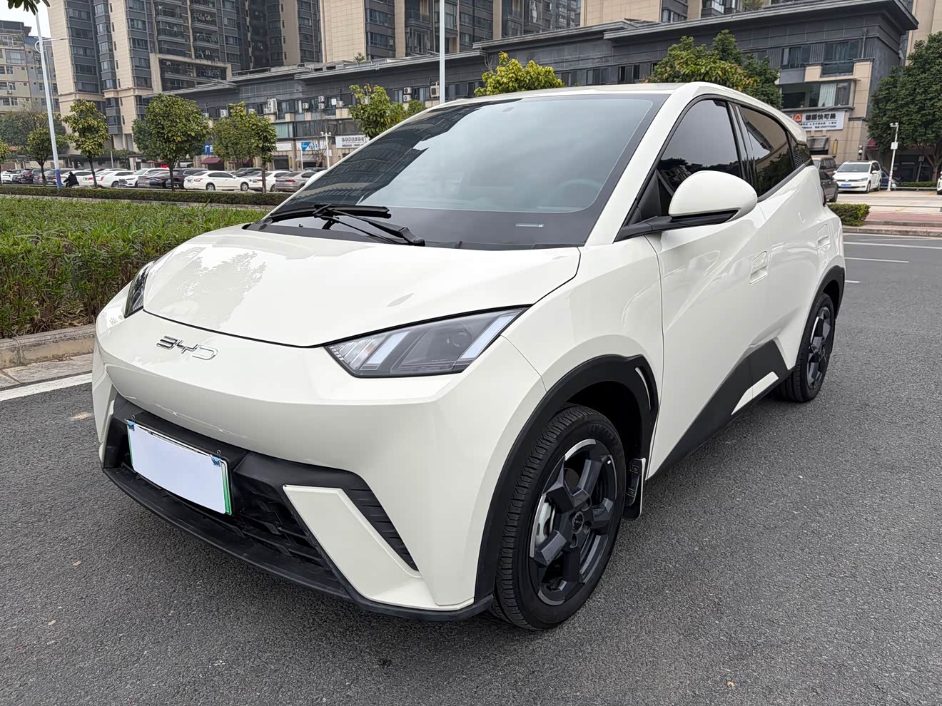 BYD Seagull 2024 car image 