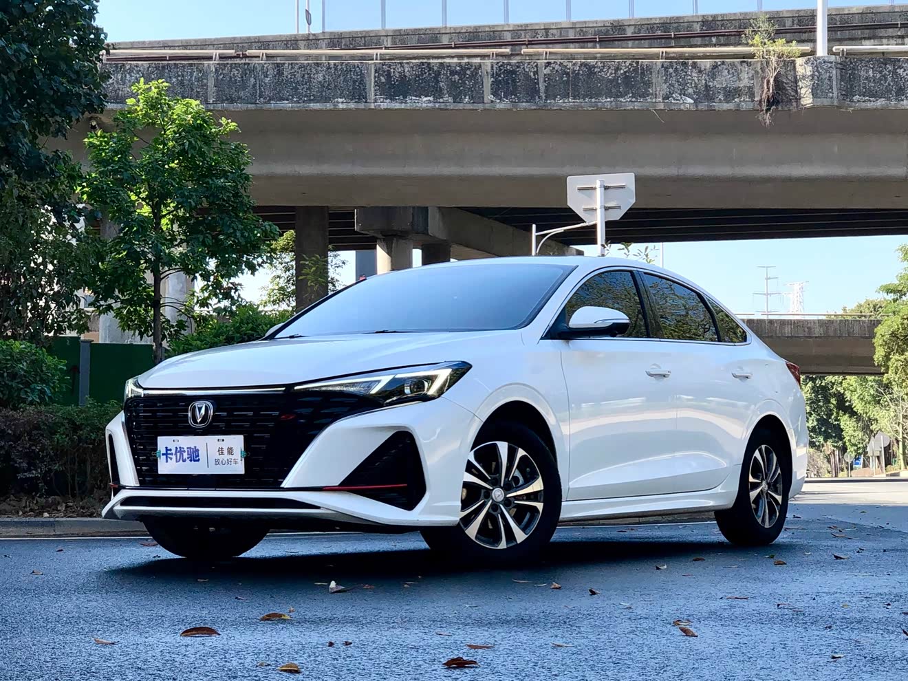 Changan Eado 2024 car image 