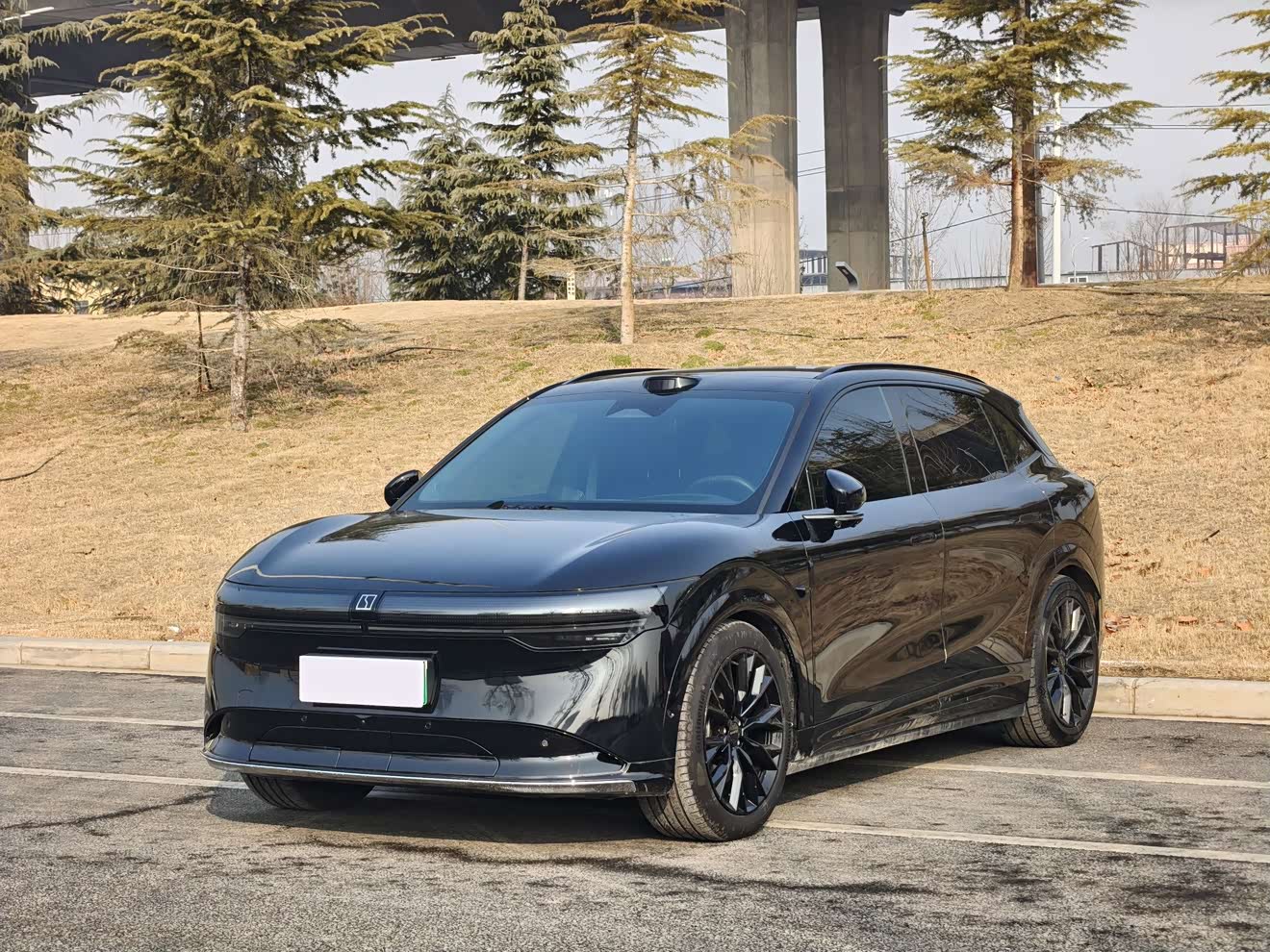 Zeekr 7X 2024 汽车图片 