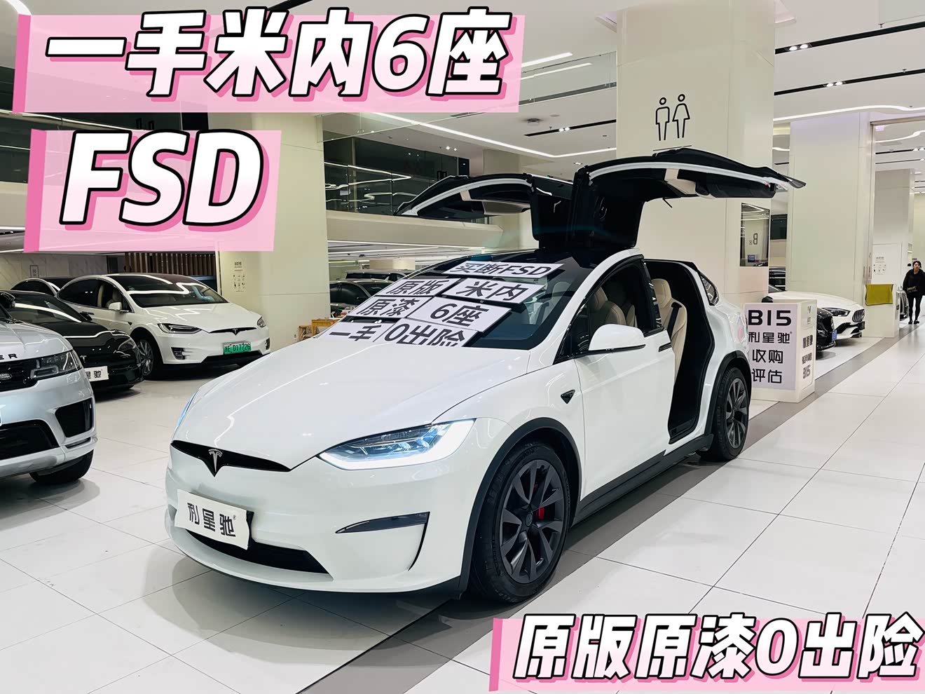 Tesla Model X 2023 car image 