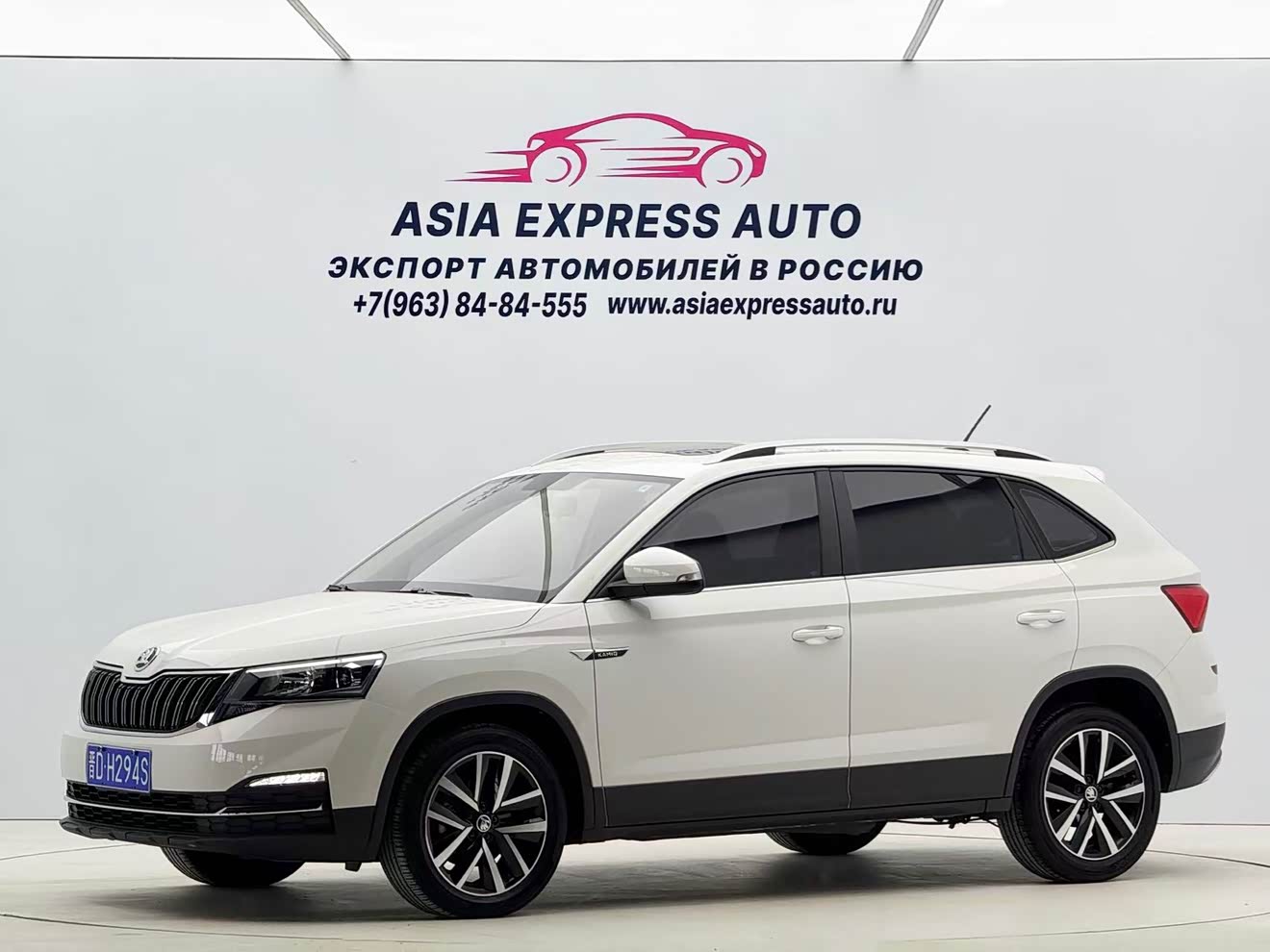 Skoda Kamiq 2021 car image 