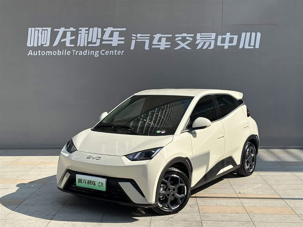 BYD Seagull 2024 car image 