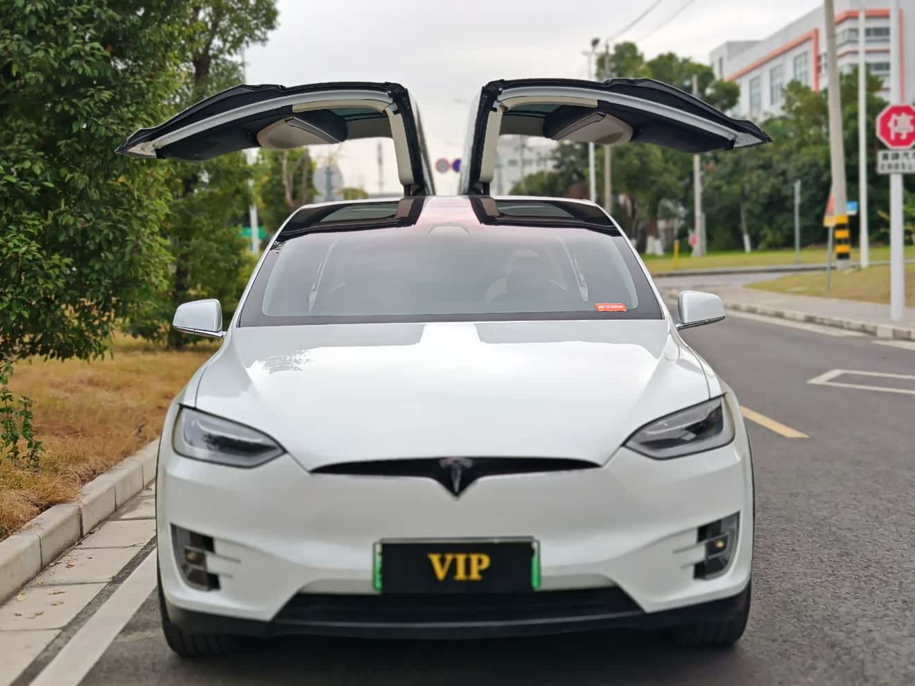Tesla Model X 2018 immagine di auto 