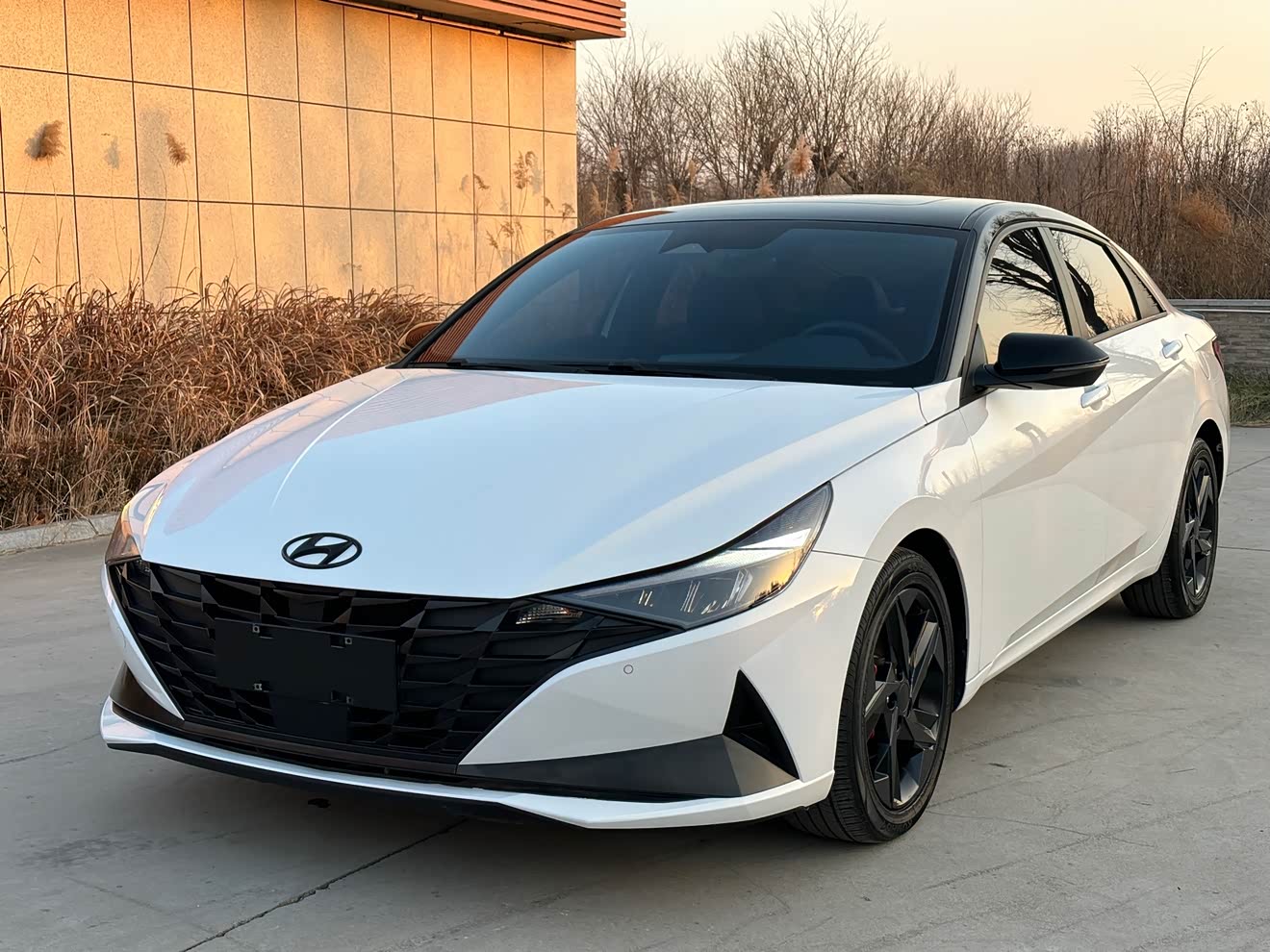 Hyundai Elantra 2023 car image 