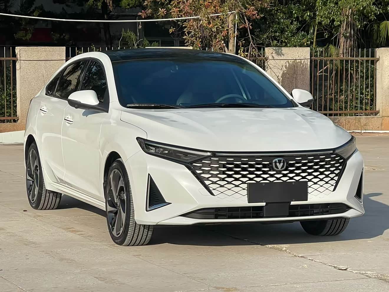 Changan Raeton Plus 2025 car image 