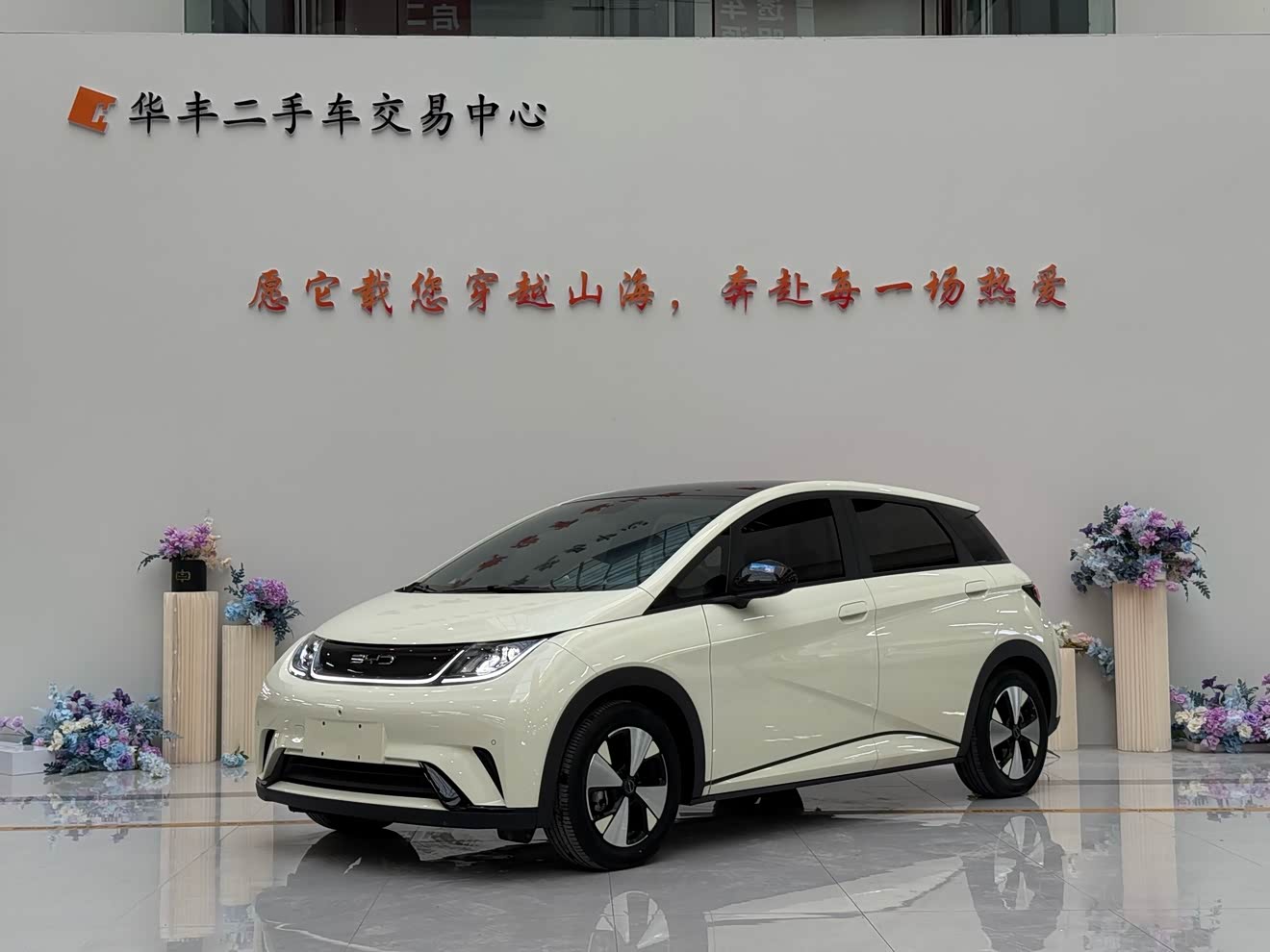 BYD Dolphin 2023 BYD Dolphin 2023 car image