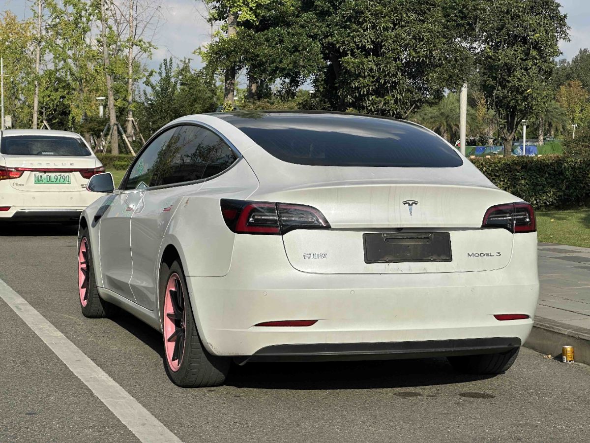 Tesla Model 3 2020 car image #8