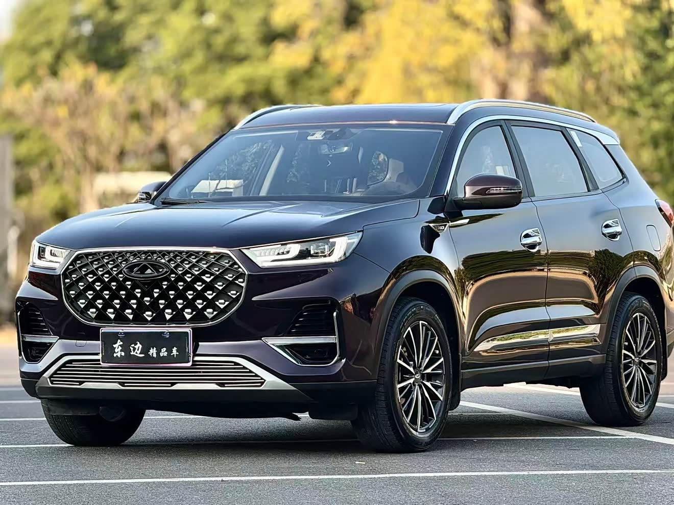 Chery Tiggo 8 Plus 2021 immagine di auto 