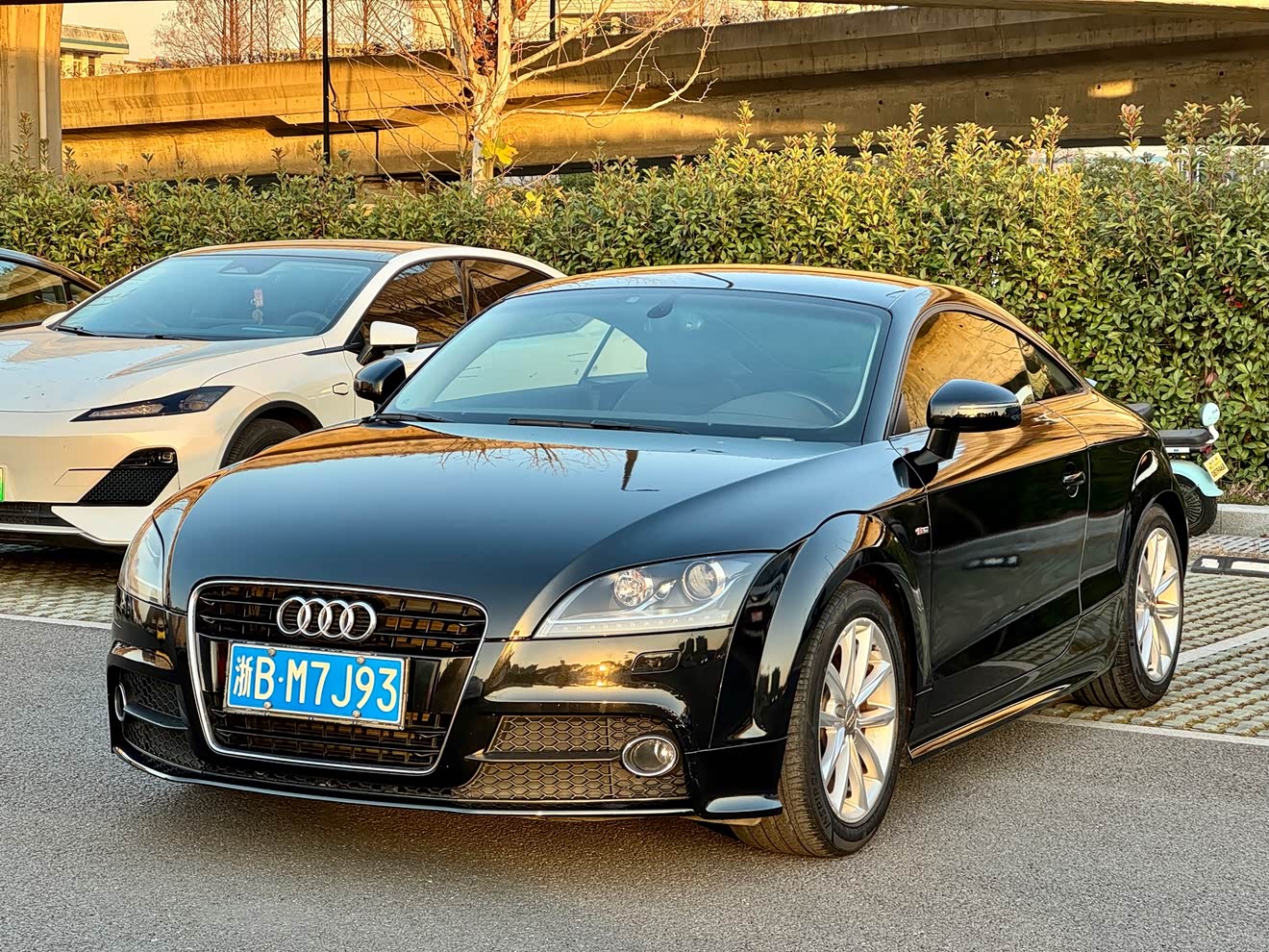 Audi TT 2013 Audi TT 2013 car image