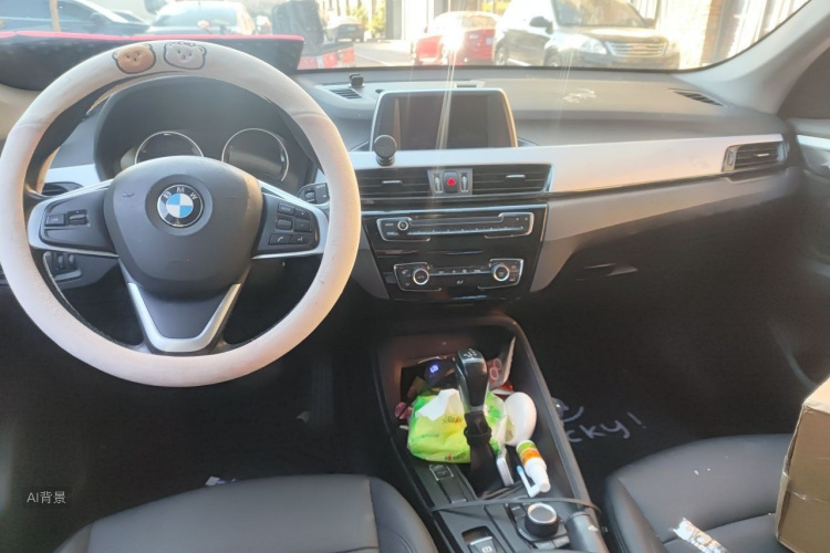 BMW X1 2019 #11 BMW X1 2019 car image #11