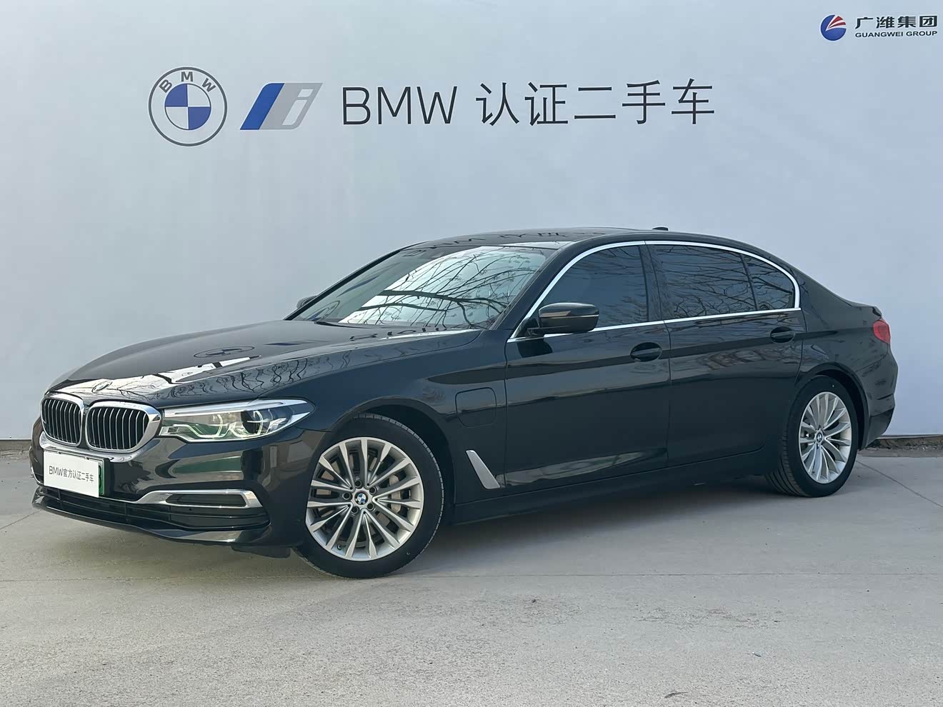 BMW 5 Series New Energy 2020 car image 