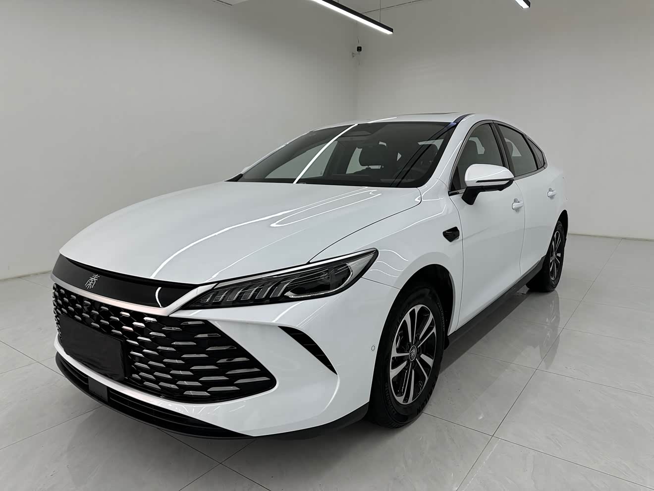 BYD Qin Plus 2025 car image 