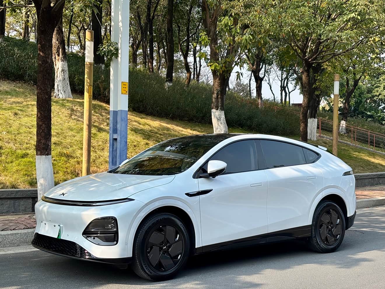 Xpeng G6 2025 汽车图片 