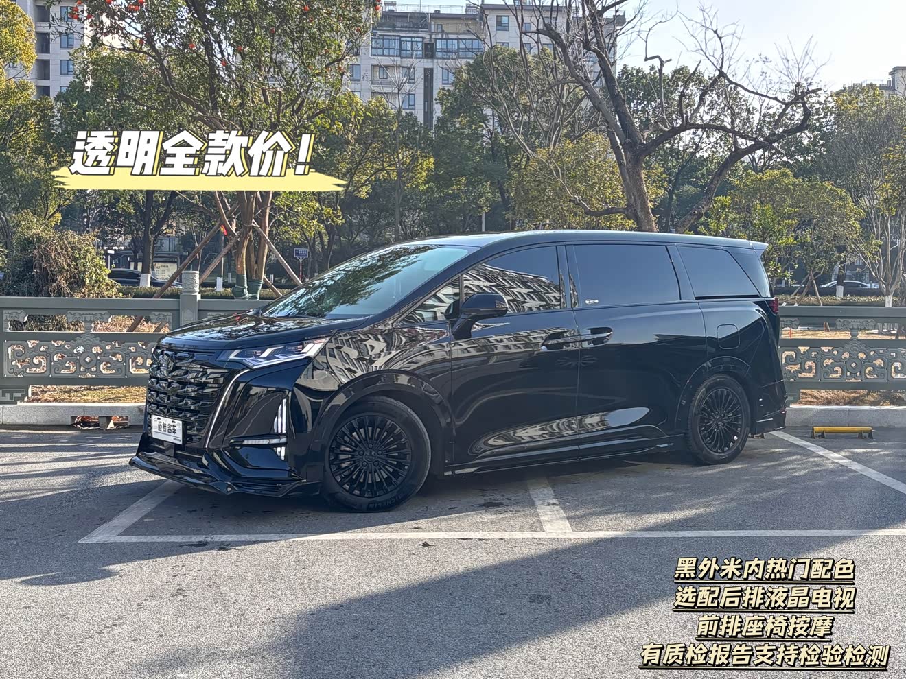 腾势 腾势D9 2024 汽车图片 