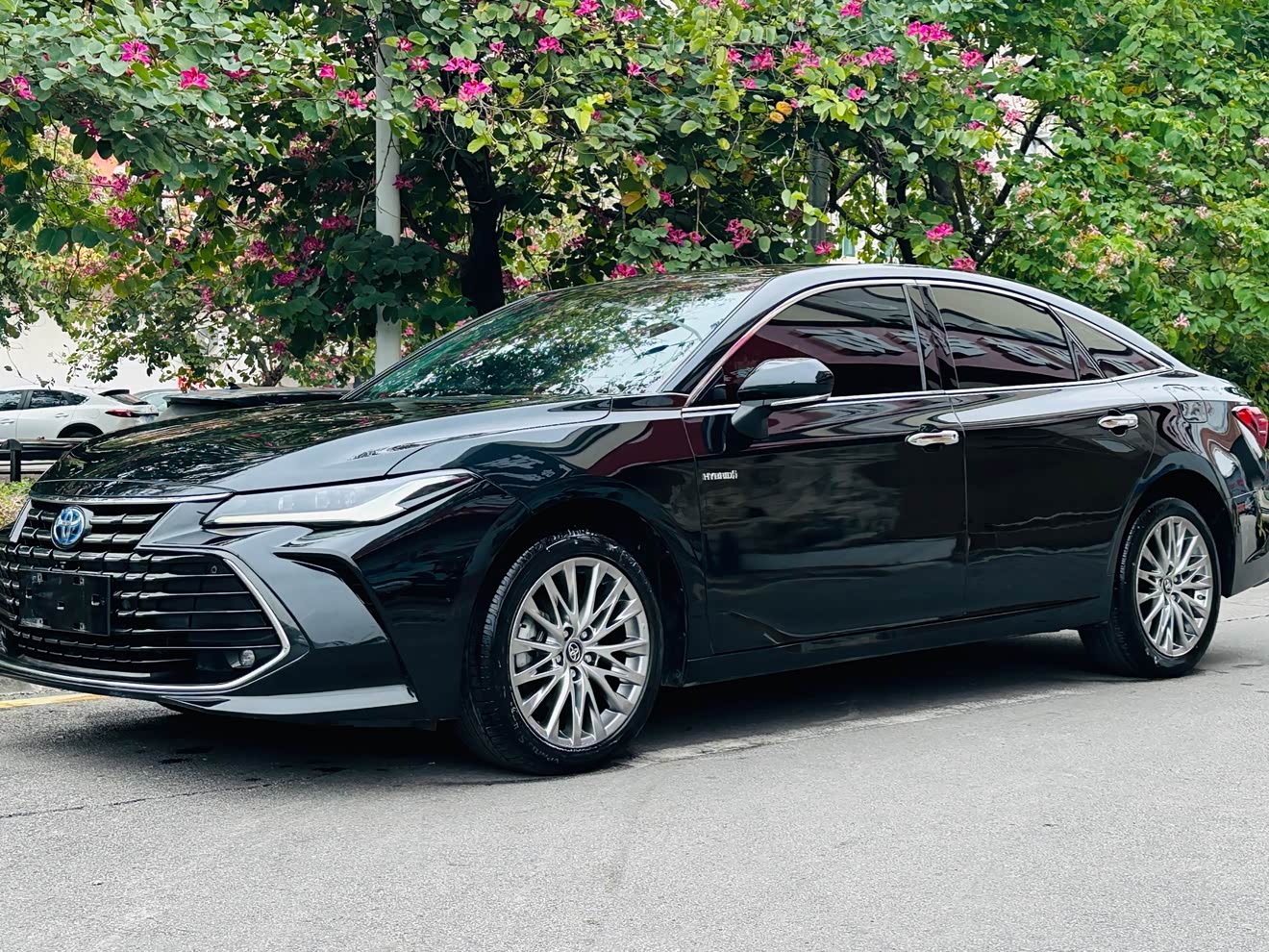 Toyota Avalon 2023 car image 