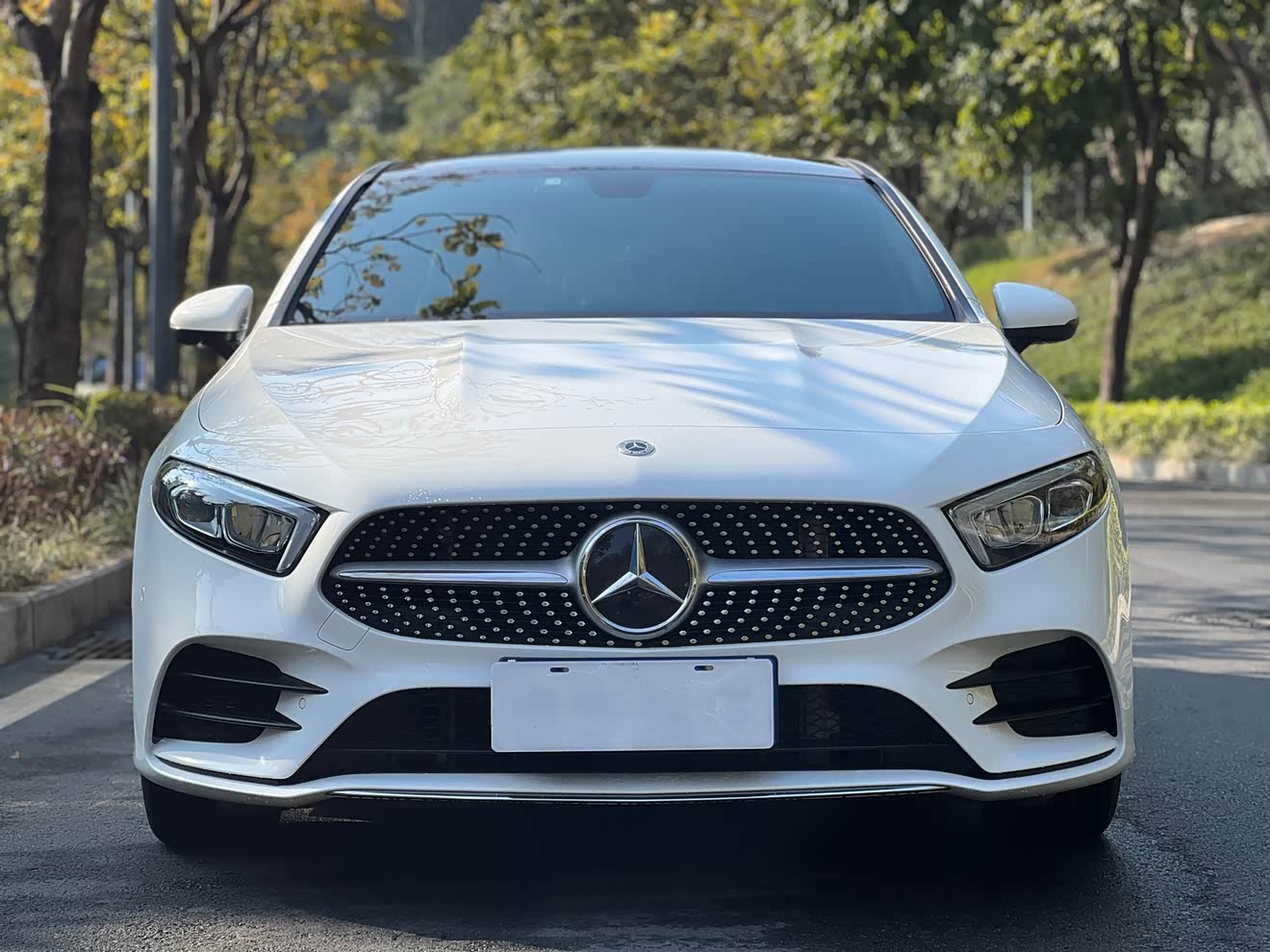 Mercedes-Benz A Class 2021 car image 