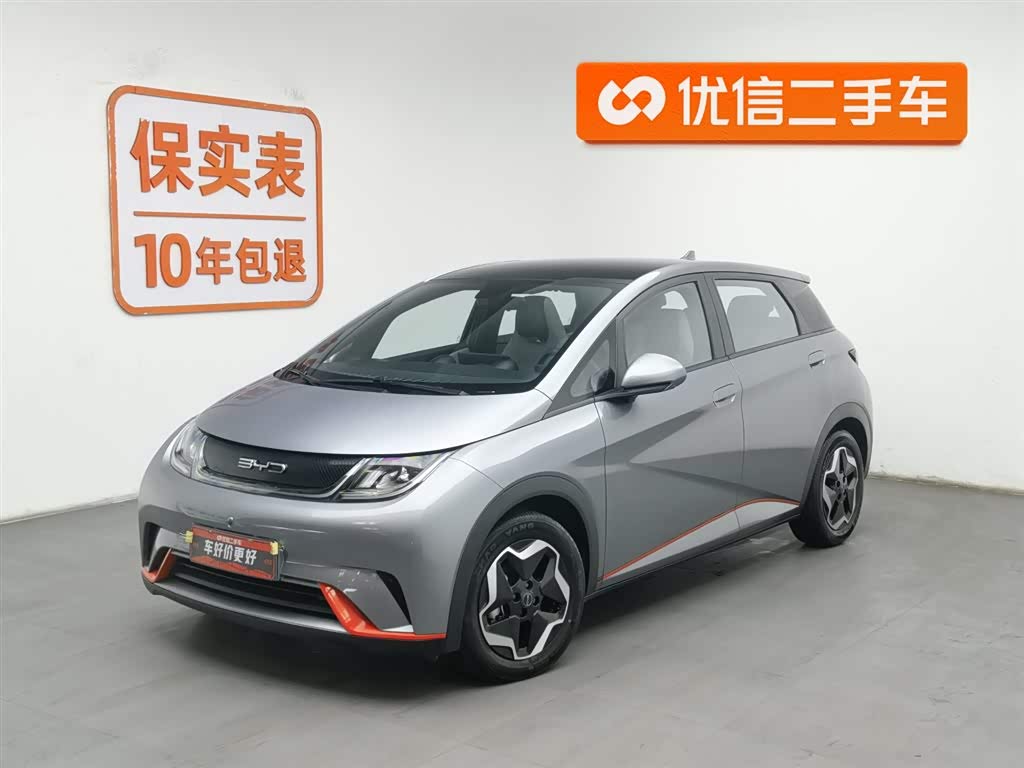 BYD Dolphin 2022 car image 