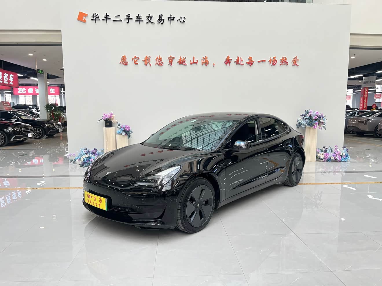 Tesla Model 3 2021 car image 