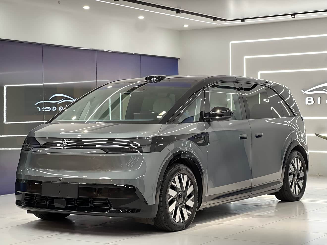 Zeekr MIX 2024 汽车图片 