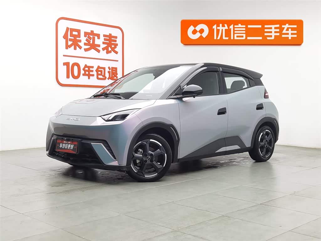 BYD Seagull 2024 car image 