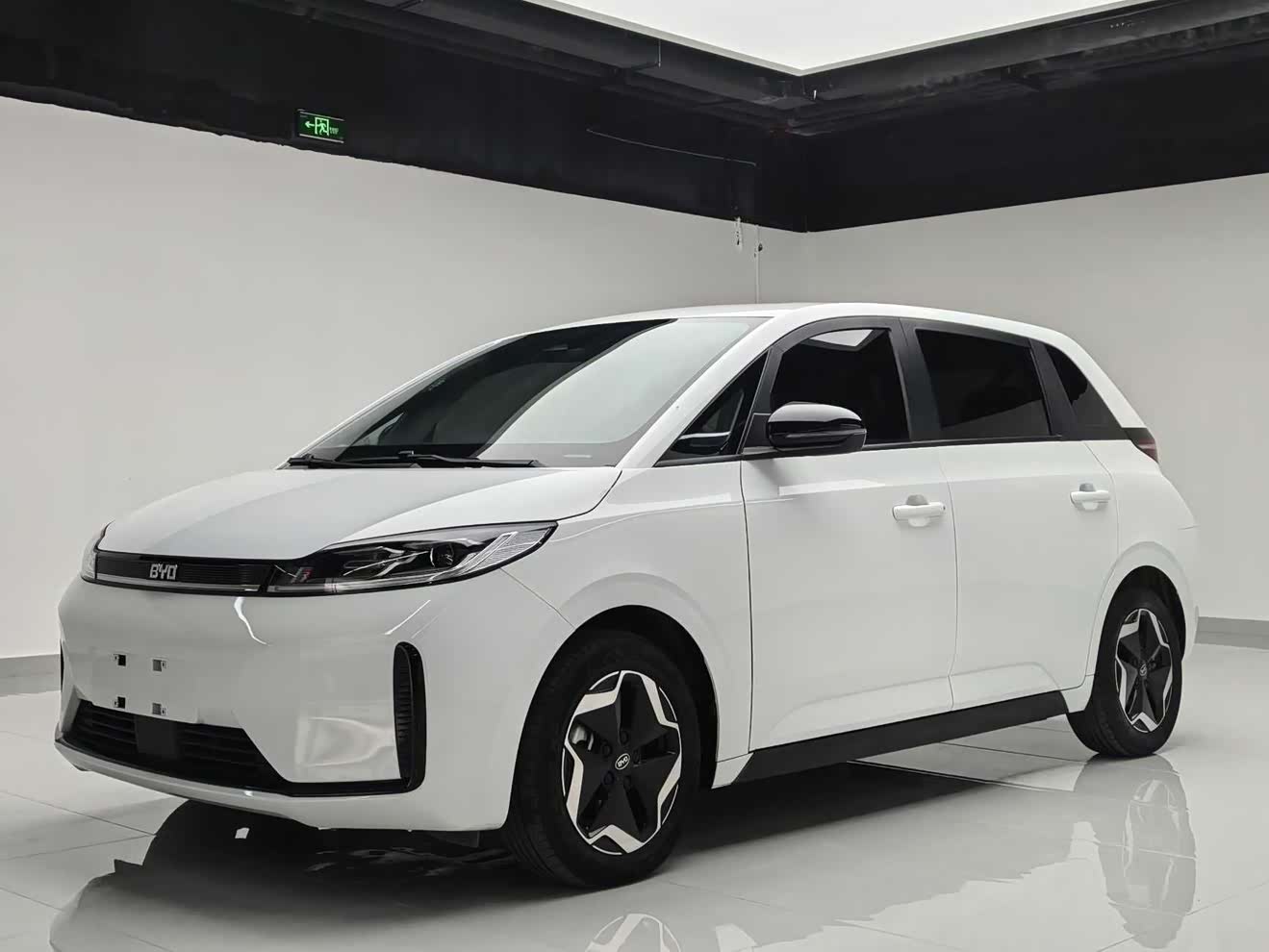 BYD D1 2023 car image 