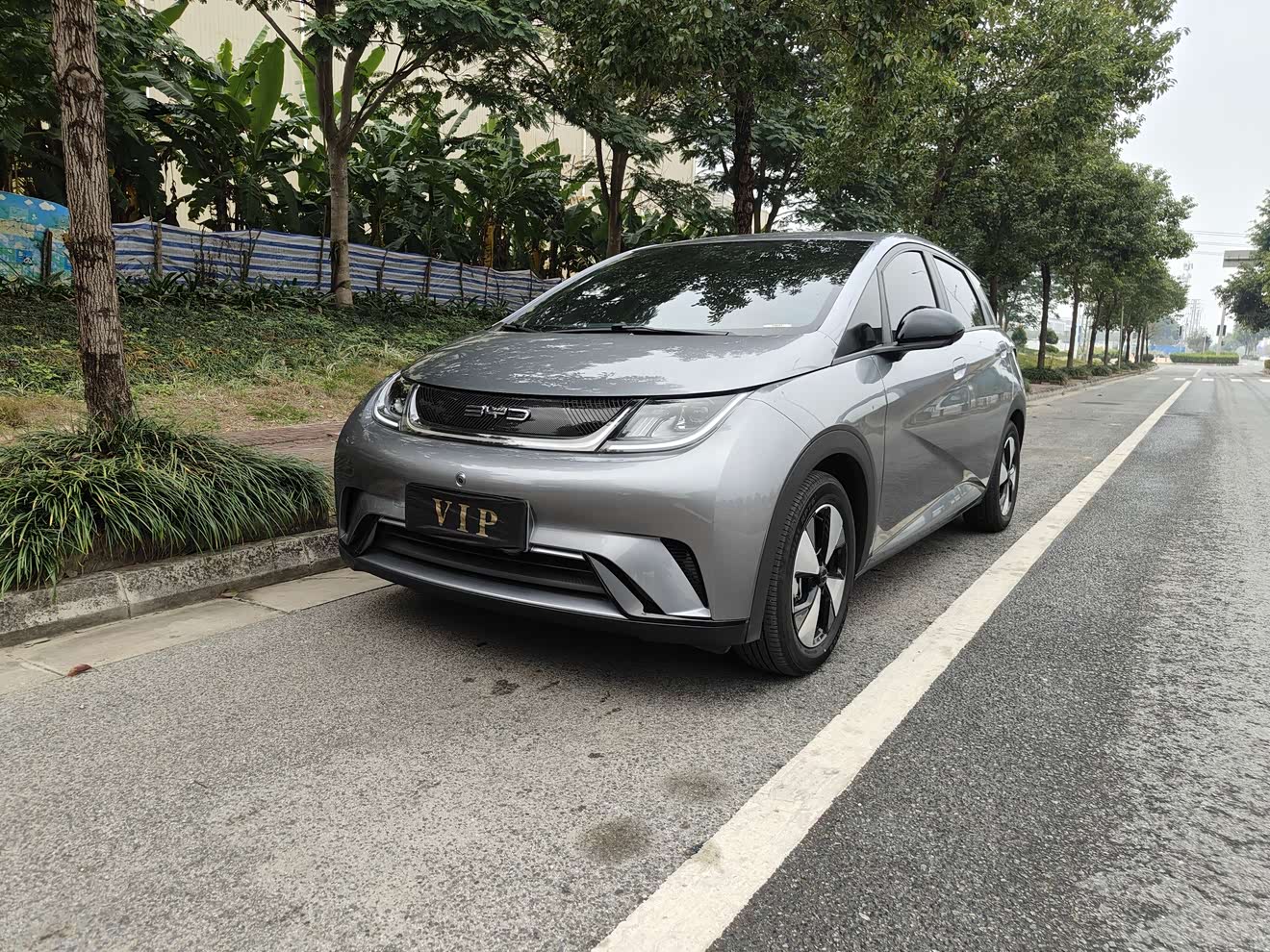 BYD Dolphin 2023 صورة سيارة 