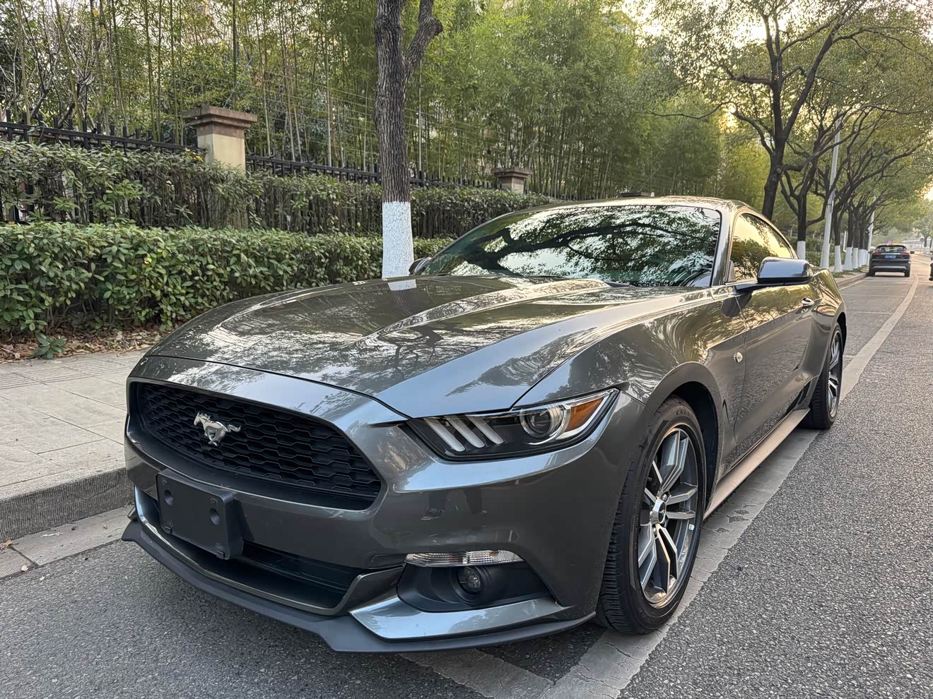 Ford Mustang 2017 car image 