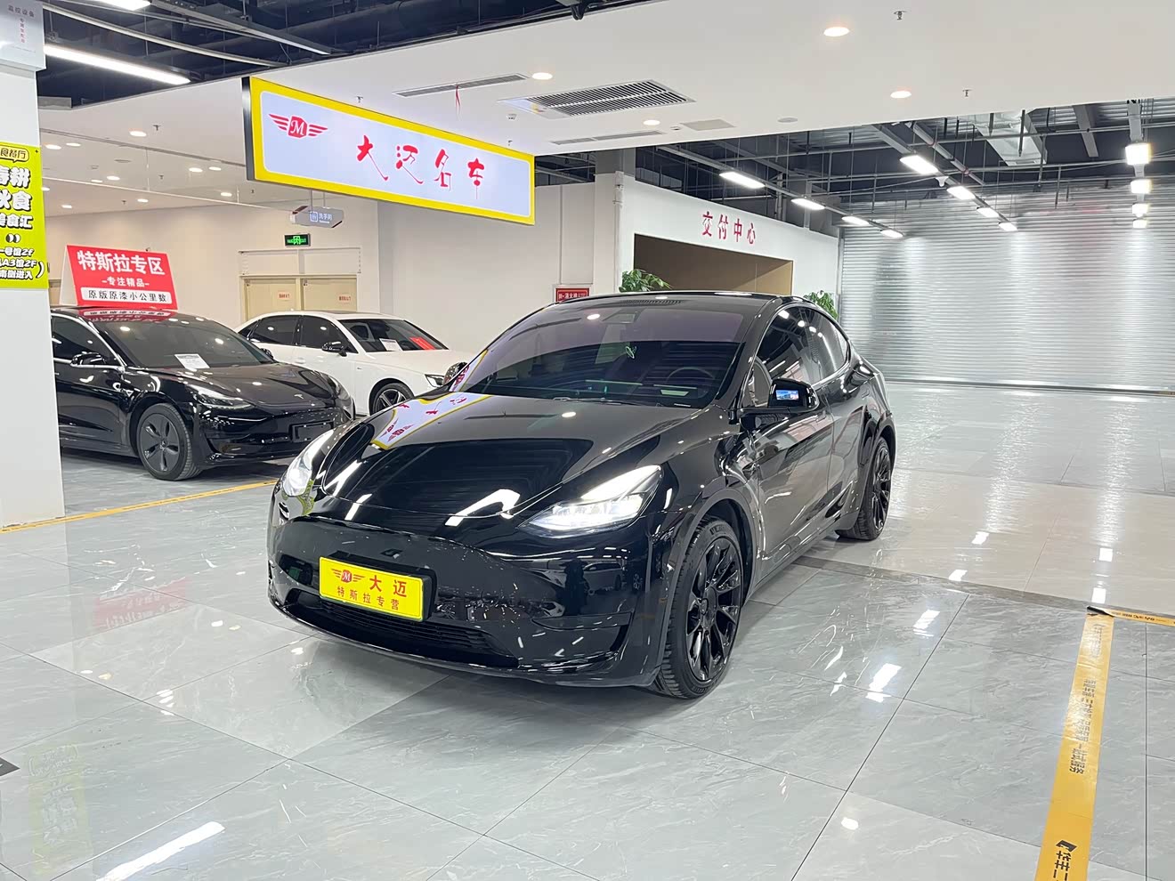 Tesla Model Y 2023 Tesla Model Y 2023 car image