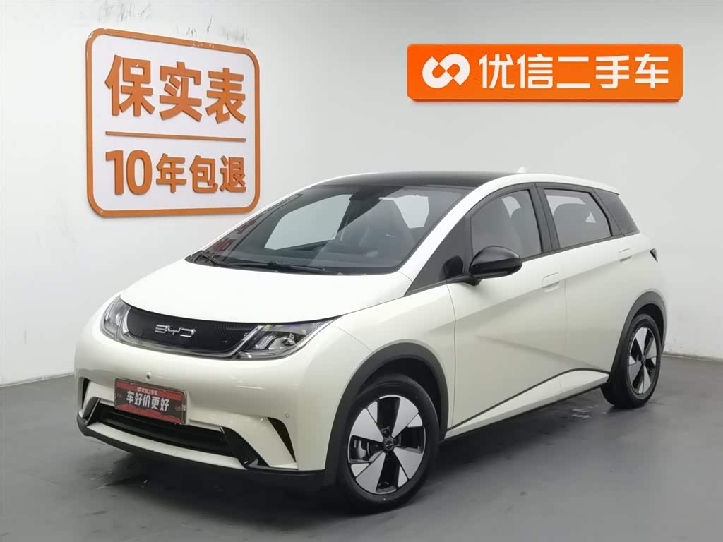 BYD Dolphin 2023 car image 
