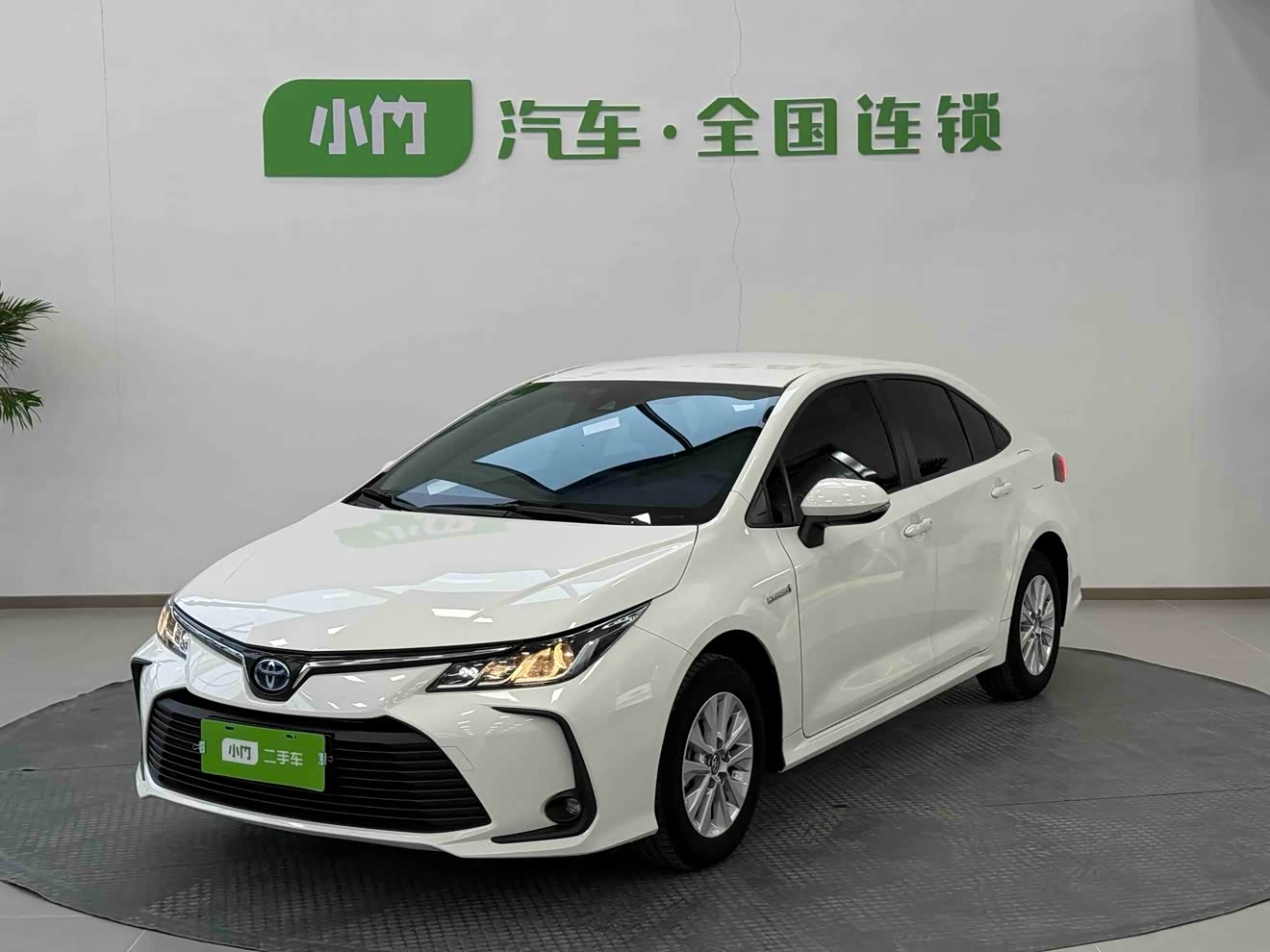 Toyota Corolla 2022 Toyota Corolla 2022 car image