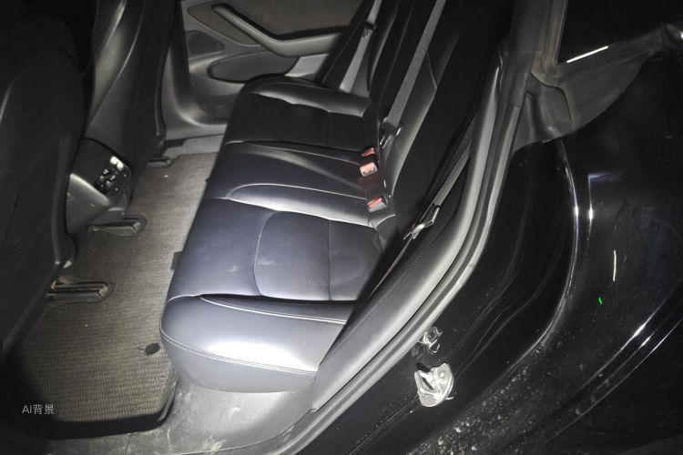 Tesla Model 3 2020 #19 Tesla Model 3 2020 car image #19