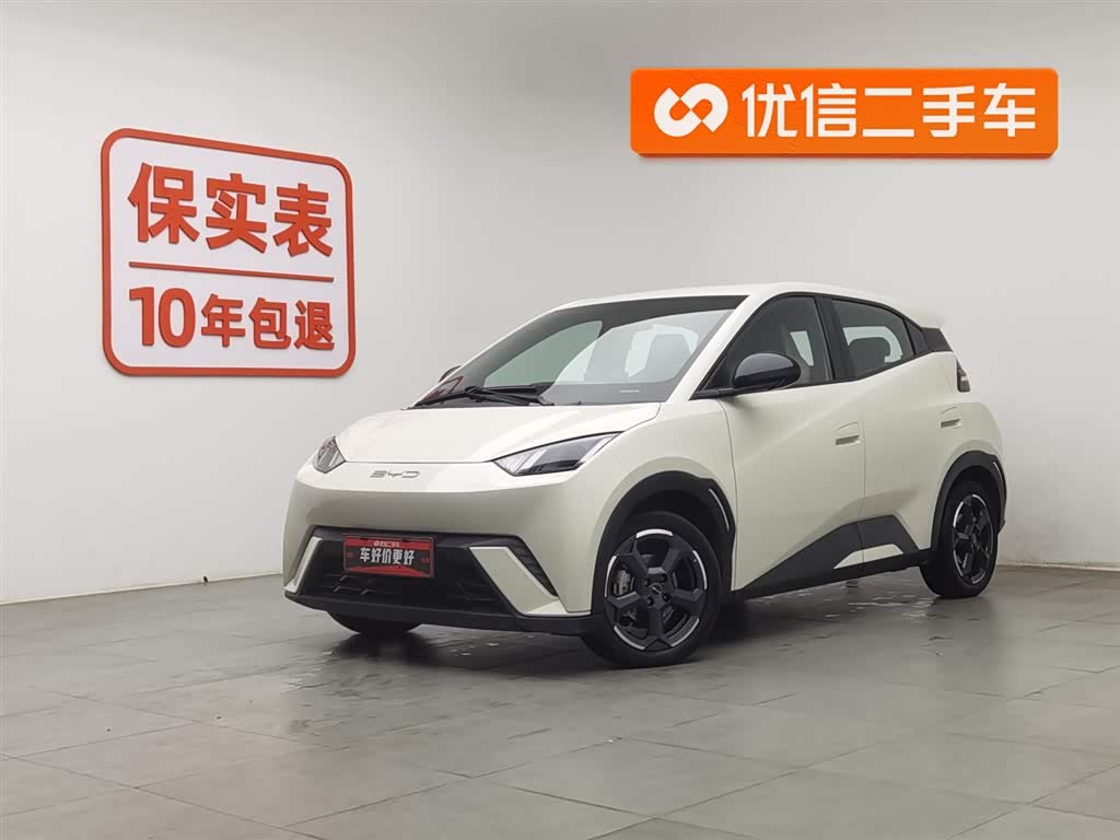 BYD Seagull 2024 car image 