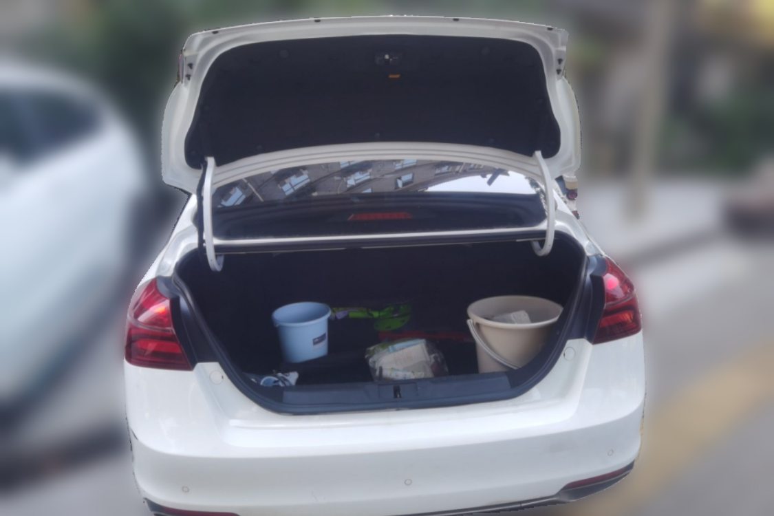 GEELY Emgrand 2019 car image #8