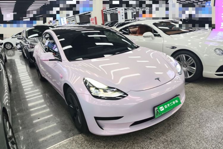 Tesla Model 3 2022 immagine di auto #6
